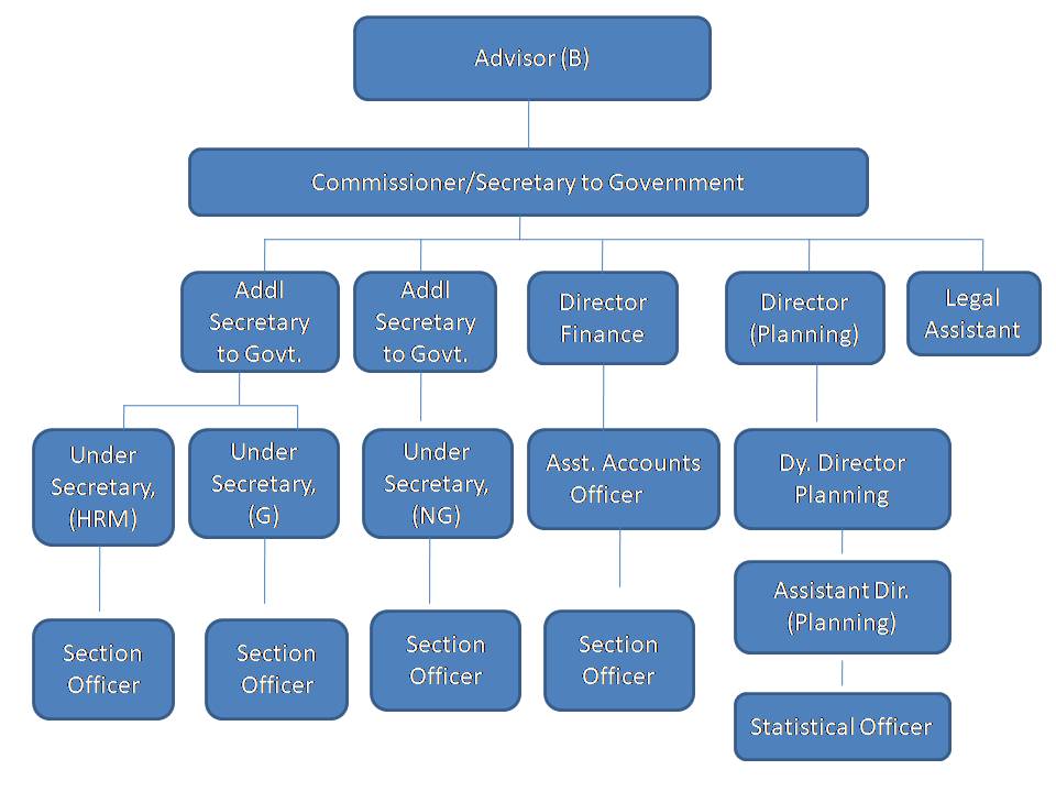 Organisation Chart