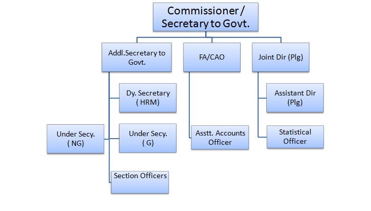 Organisation Chart